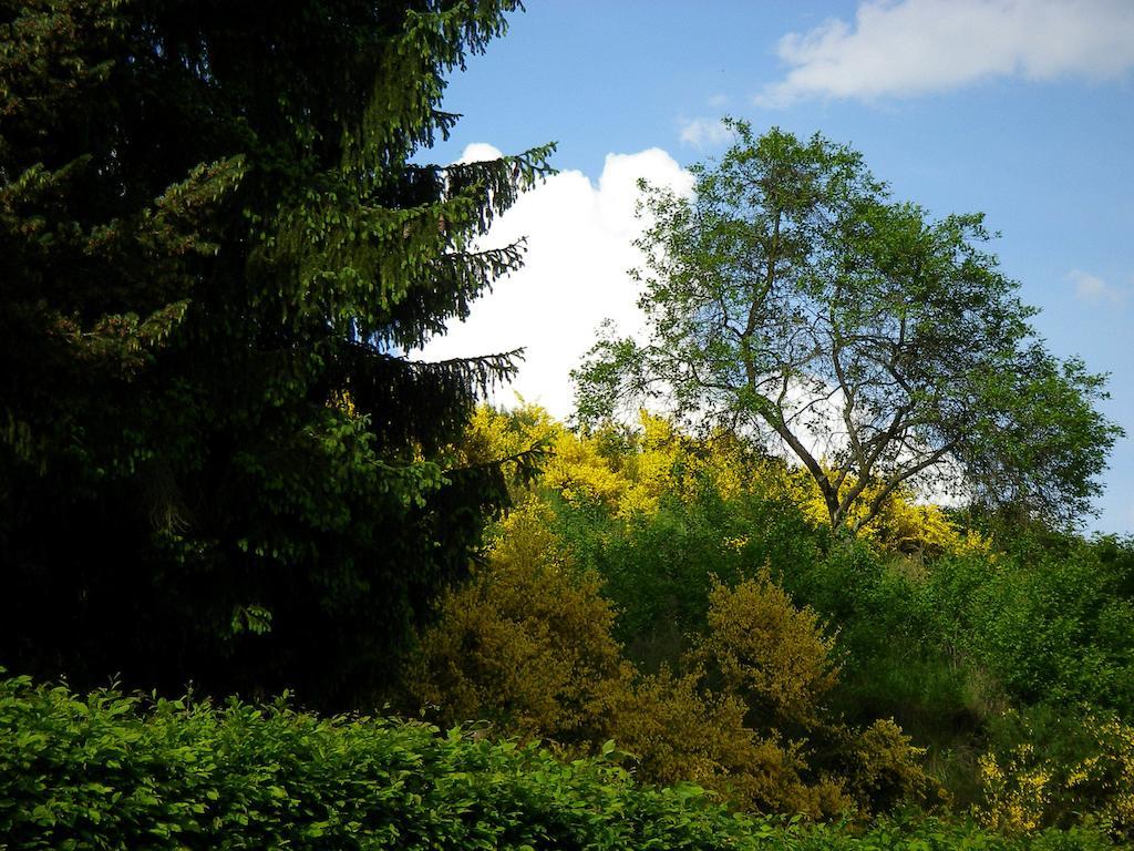 Auszeit Am Eifelsteig Hotel Daun Luaran gambar