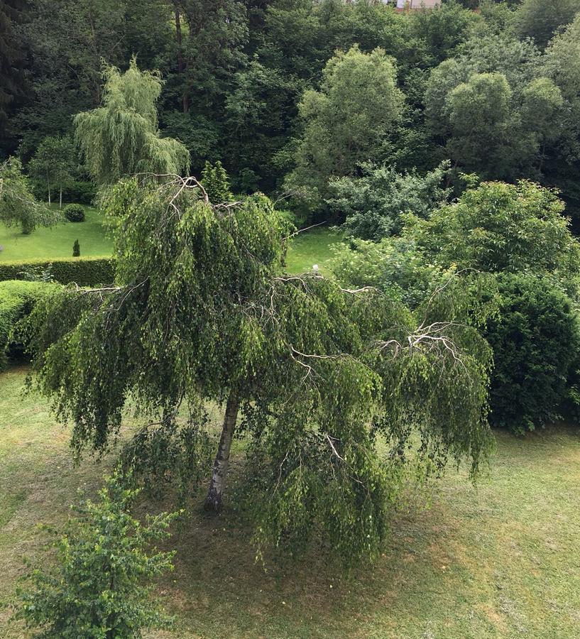 Auszeit Am Eifelsteig Hotel Daun Luaran gambar