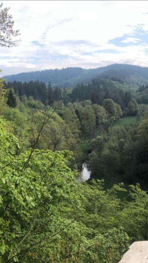 Auszeit Am Eifelsteig Hotel Daun Luaran gambar